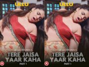 Tere Jaisa Yaar Kaha – Part 1 Episode 2